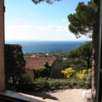 Mas de Gigaro Le Pin Blick